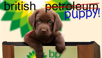 Cute Little Puppy Takes Over as New BP CEO
